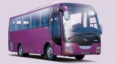 大巴客車 （26-55）座